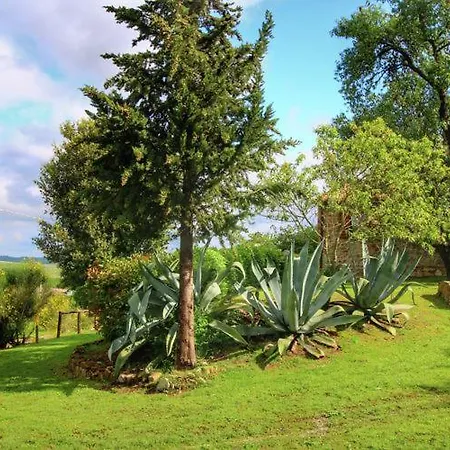 Podere Il Tigliolo *